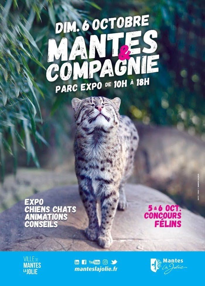 parc-expo-mantes-la-jolie-mantes-la-jolie-2019-10-06