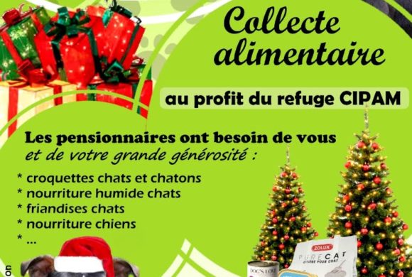 Collecte 13 et 14/12/2025, TRUFFAUT, Buchelay Collecte 13 et 14/12/2025, TRUFFAUT, Buchelay