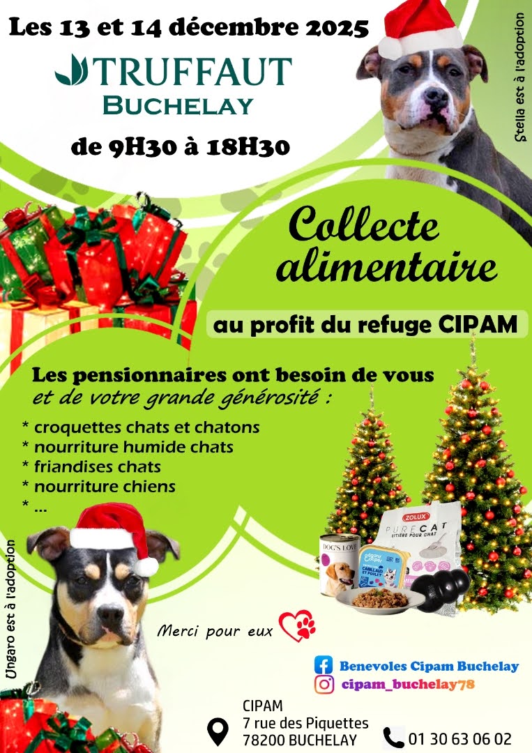 Collecte 13 et 14/12/2025, TRUFFAUT, Buchelay Collecte 13 et 14/12/2025, TRUFFAUT, Buchelay