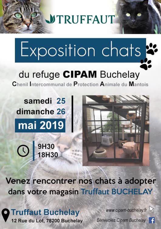 Exposition chats 25 et 26 mai 2019, TRUFFAUT, Buchelay