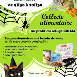 Collecte 18 et 19/10/2025, Truffaut Buchelay