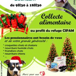 Collecte 13 et 14/12/2025, TRUFFAUT, Buchelay