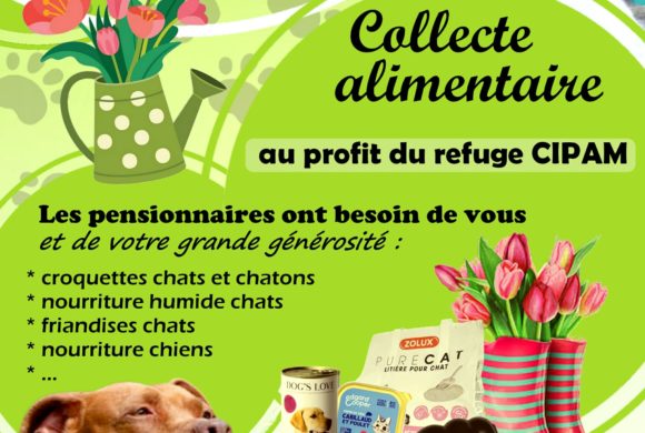 Collecte 25 et 26 avril 2026, Truffaut Buchelay