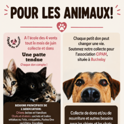 En juin, collecte à l&rsquo;école des 4 Vents Gaillon sur Montcient