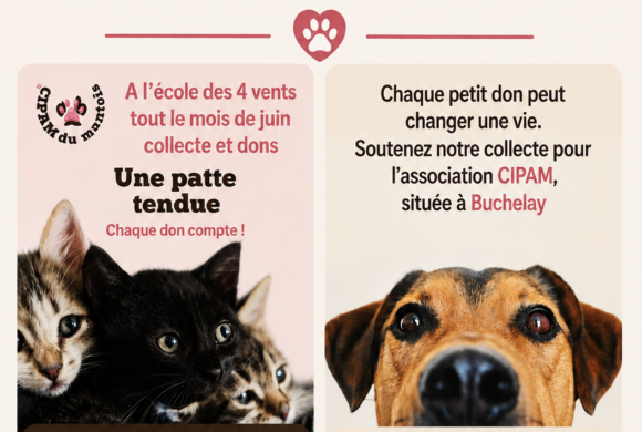 En juin, collecte à l&rsquo;école des 4 Vents Gaillon sur Montcient