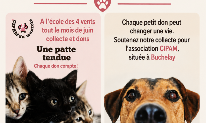 En juin, collecte à l&rsquo;école des 4 Vents Gaillon sur Montcient